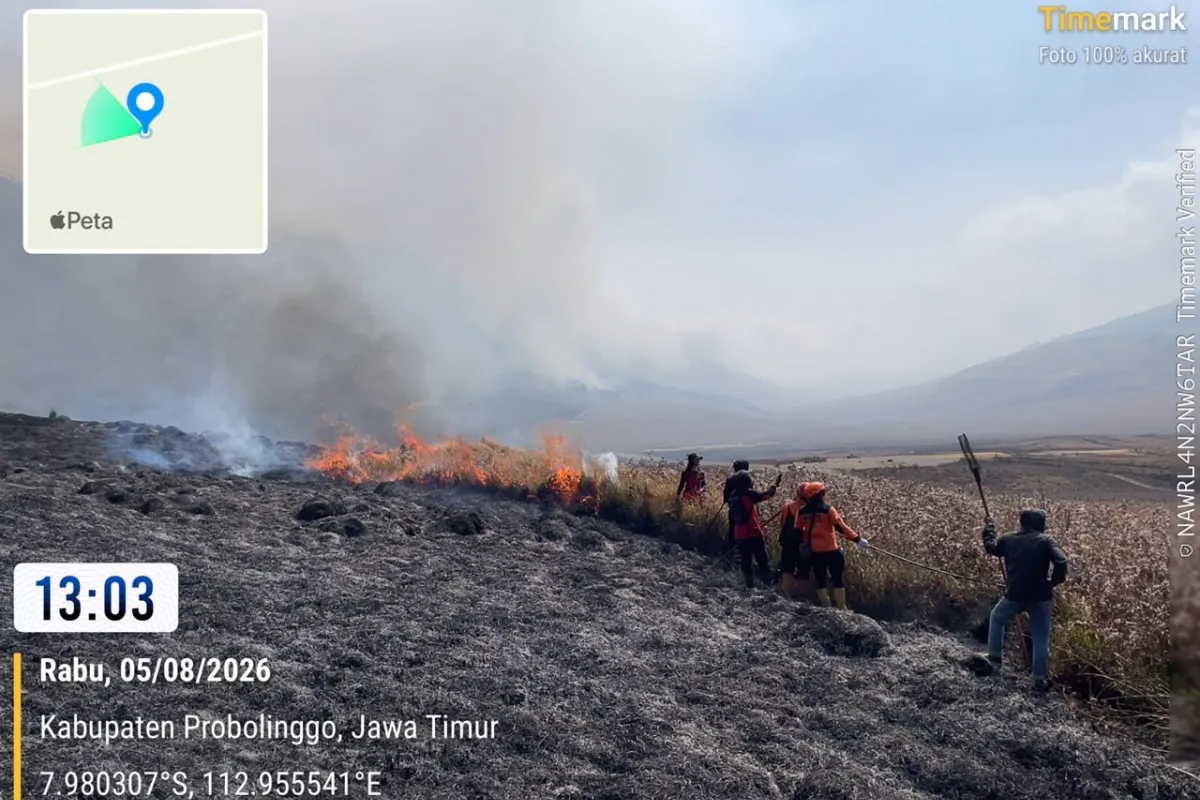 Pemadaman Kebakaran Hutan